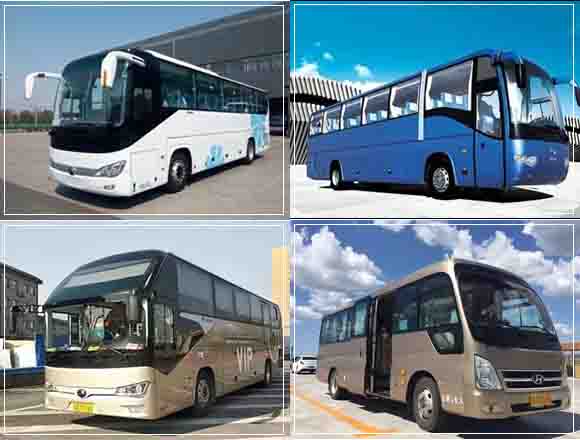 甌海區旅游租車